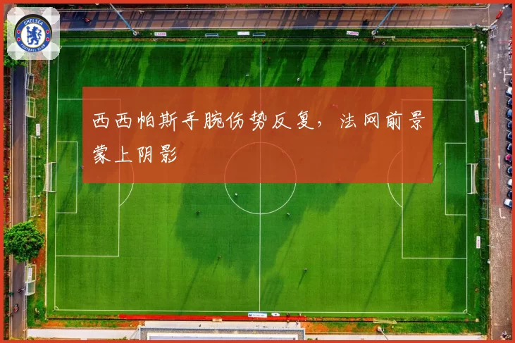 西西帕斯手腕伤势反复，法网前景蒙上阴影